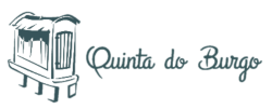 logo-rectangular